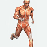 gynaecologist in Ludhiana